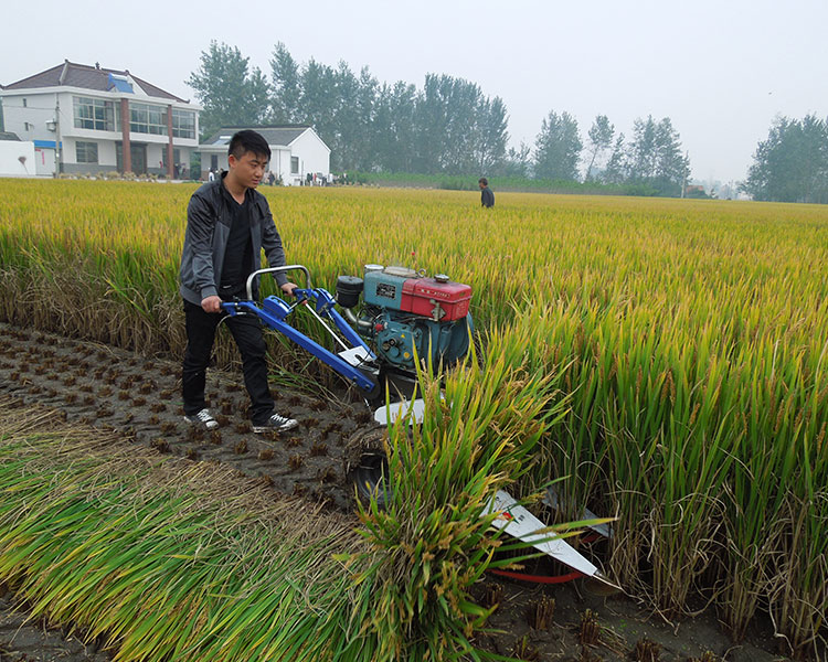 小型水稻收割機